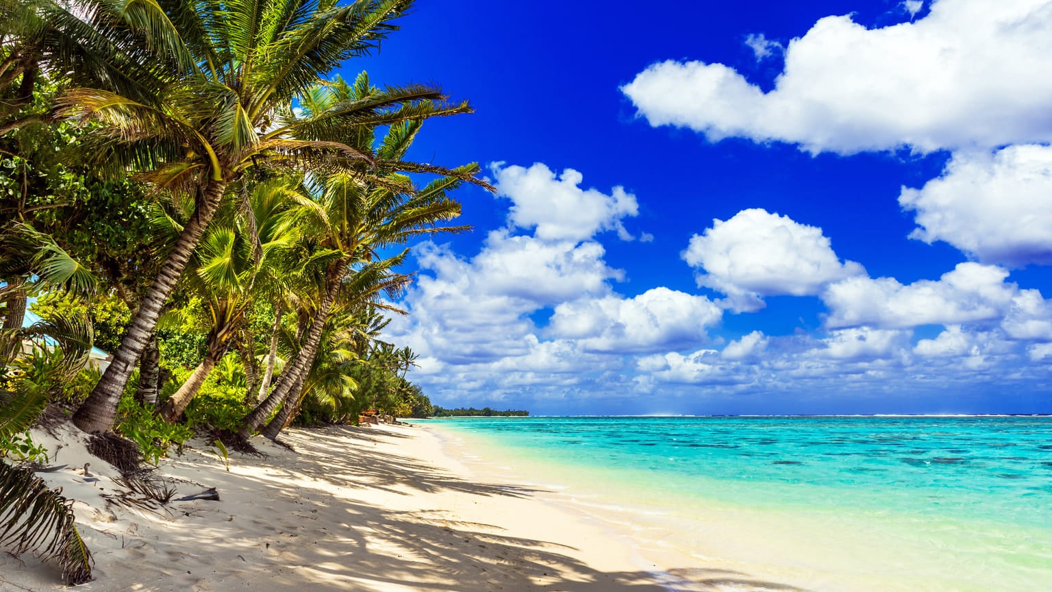 Как россиянам получить гражданство Вануату за инвестиции