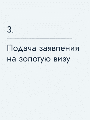 Подача заявления на золотую визу, 6700 $