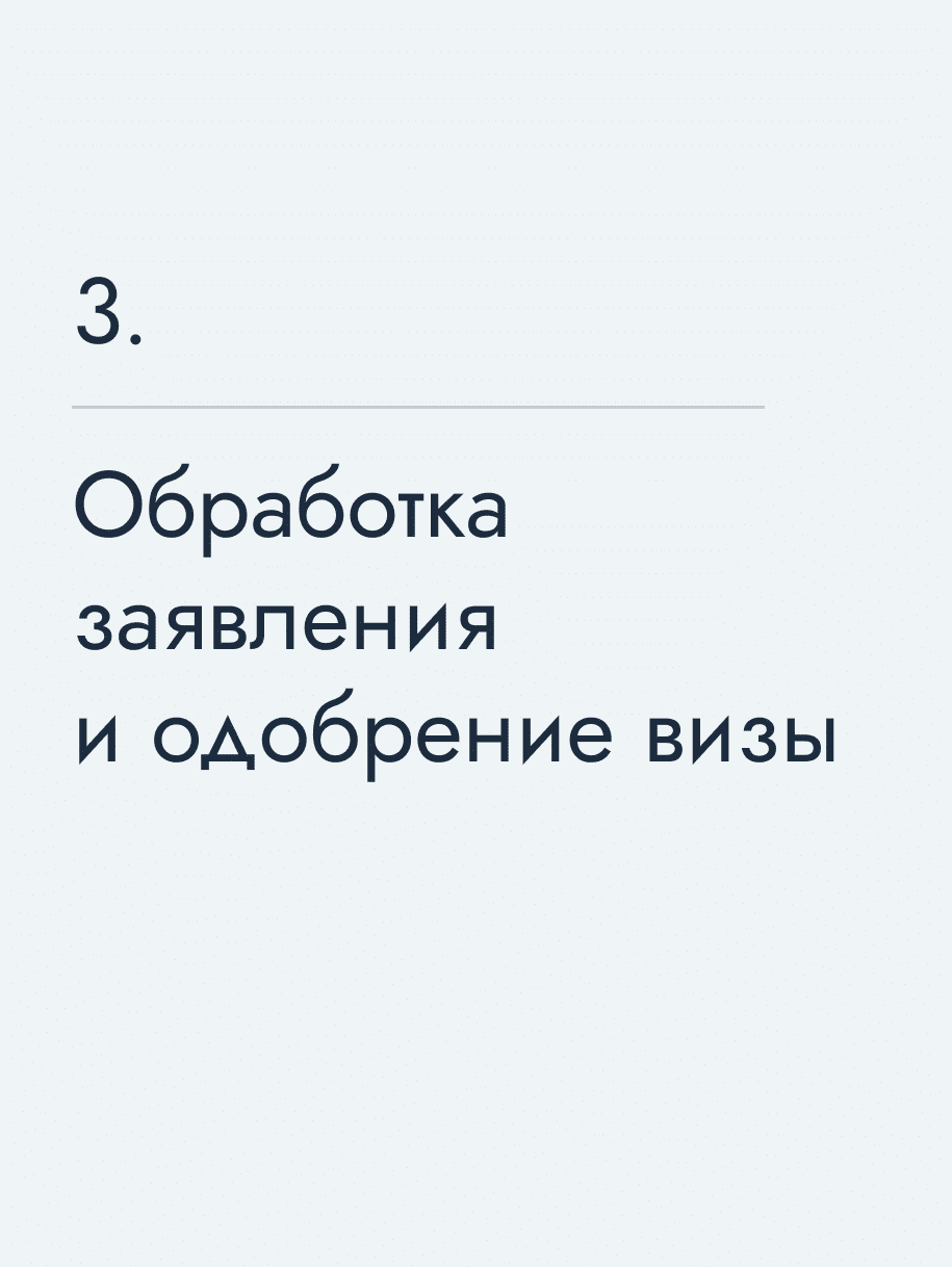 Обработка заявления и одобрение визы