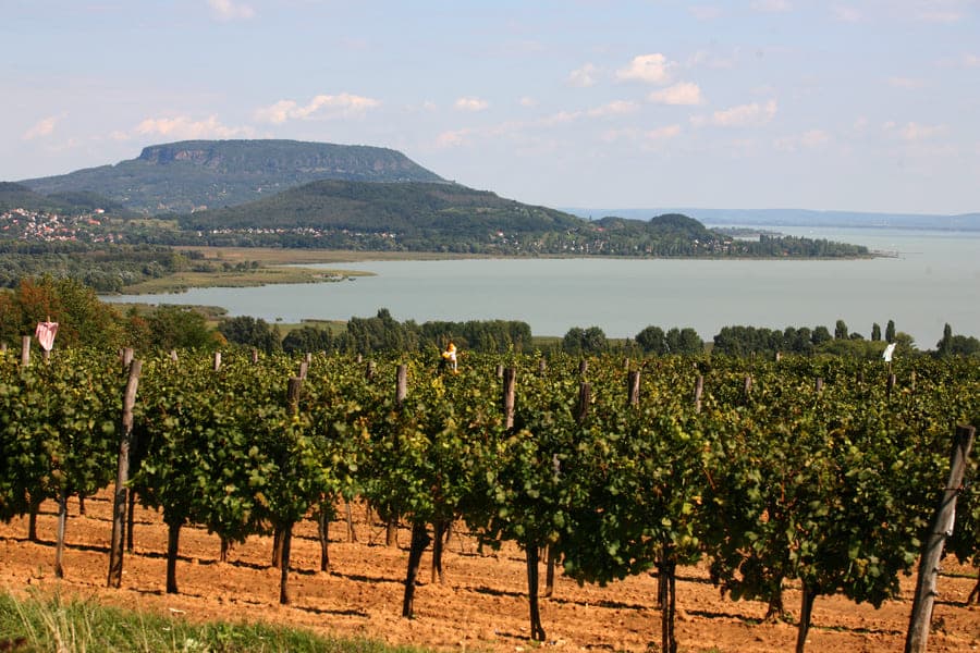 ВНЖ в Венгрии при открытии компании: туристический бизнес