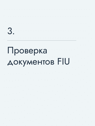 Проверка документов FIU
