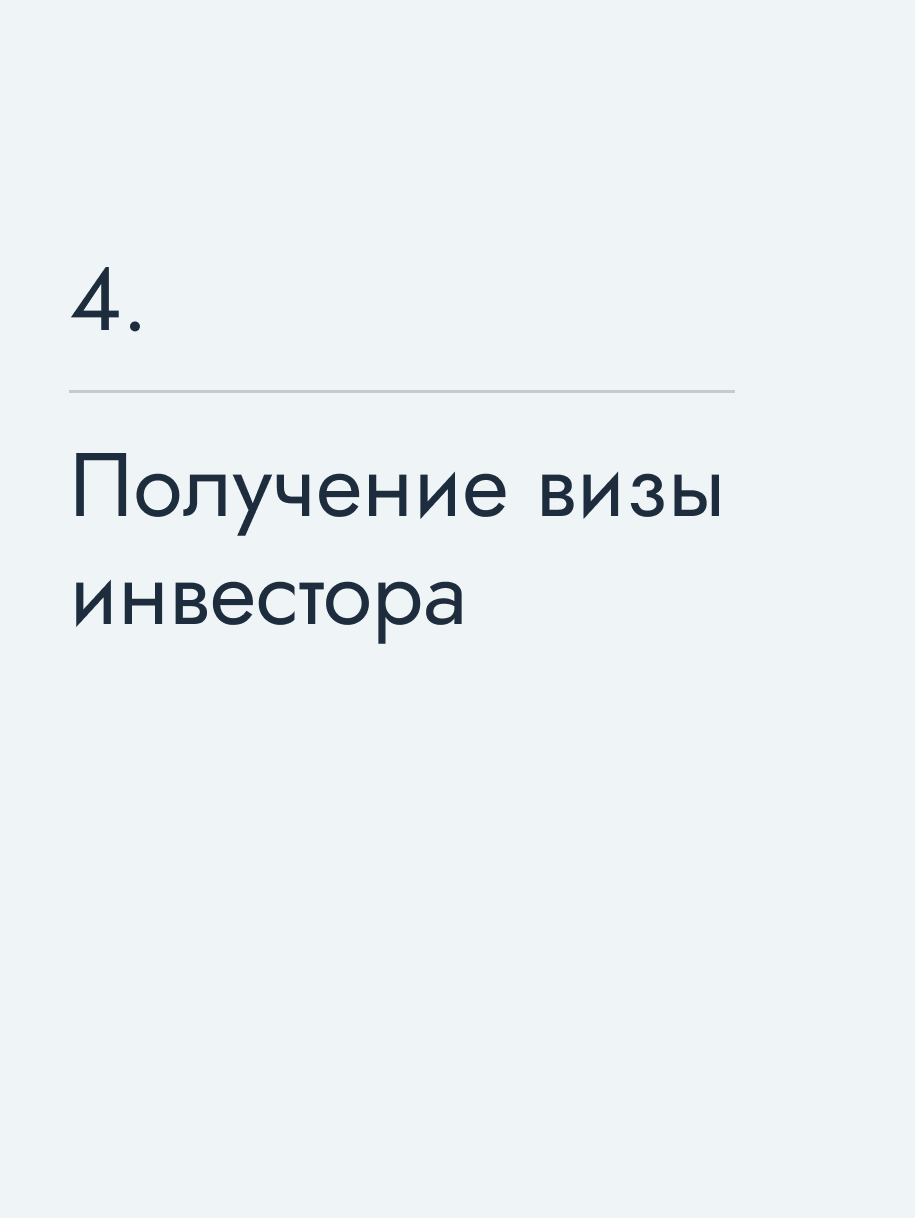 Получение визы инвестора