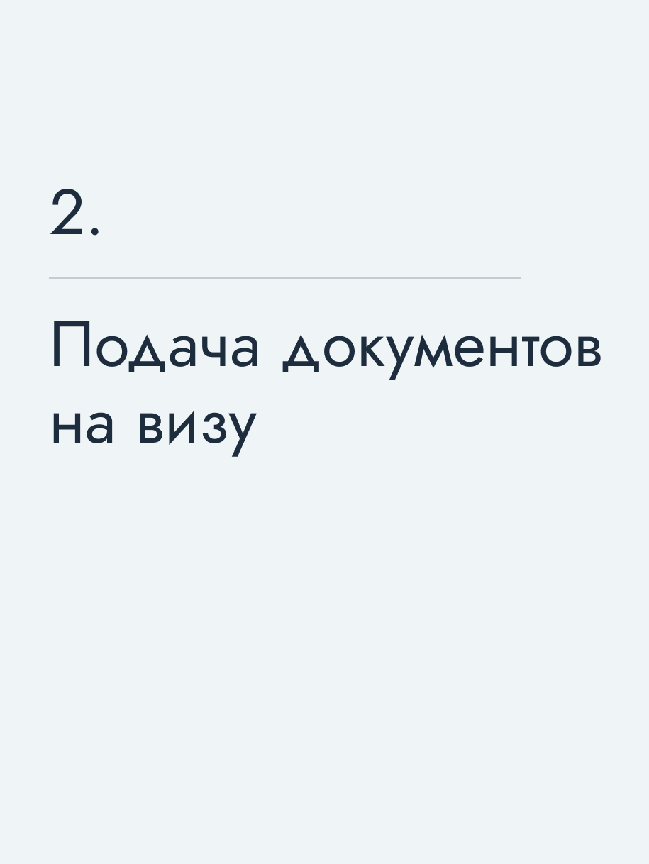 Подача документов на визу