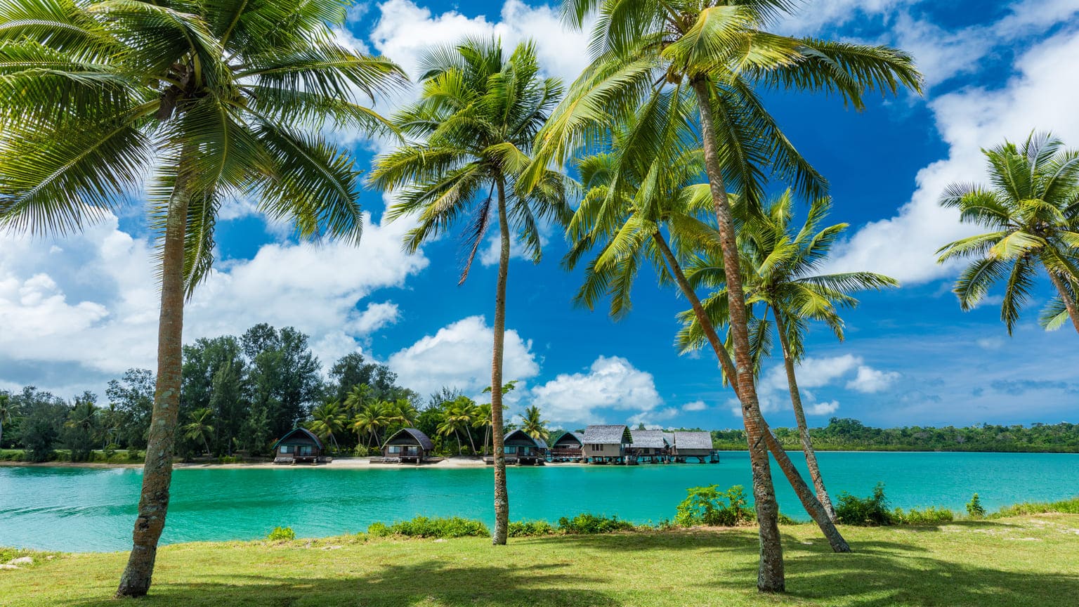 Отзывы о&nbsp;гражданстве Вануату за&nbsp;инвестиции: стоит&nbsp;ли оно своих 130&nbsp;000&nbsp;$