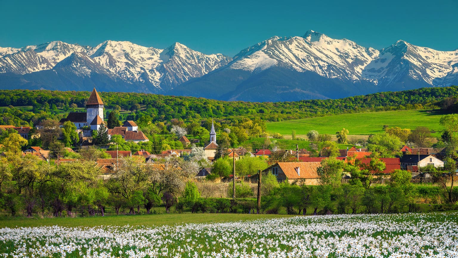 Гражданство Румынии: как&nbsp;получить паспорт и&nbsp;не&nbsp;попасть на&nbsp;мошенников