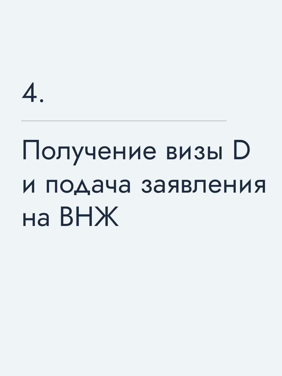 Получение визы&nbsp;D и подача заявления на ВНЖ