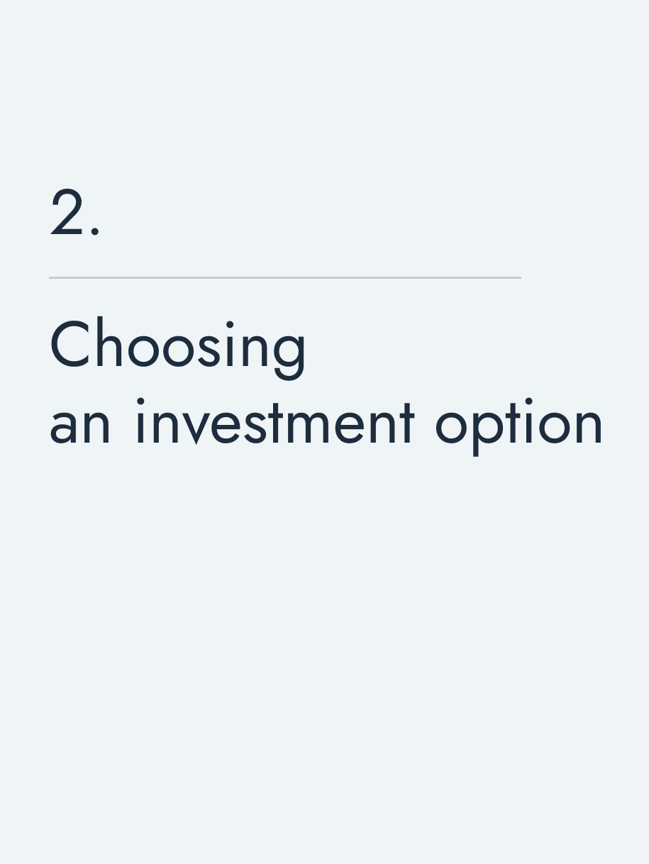 Choosing an investment option