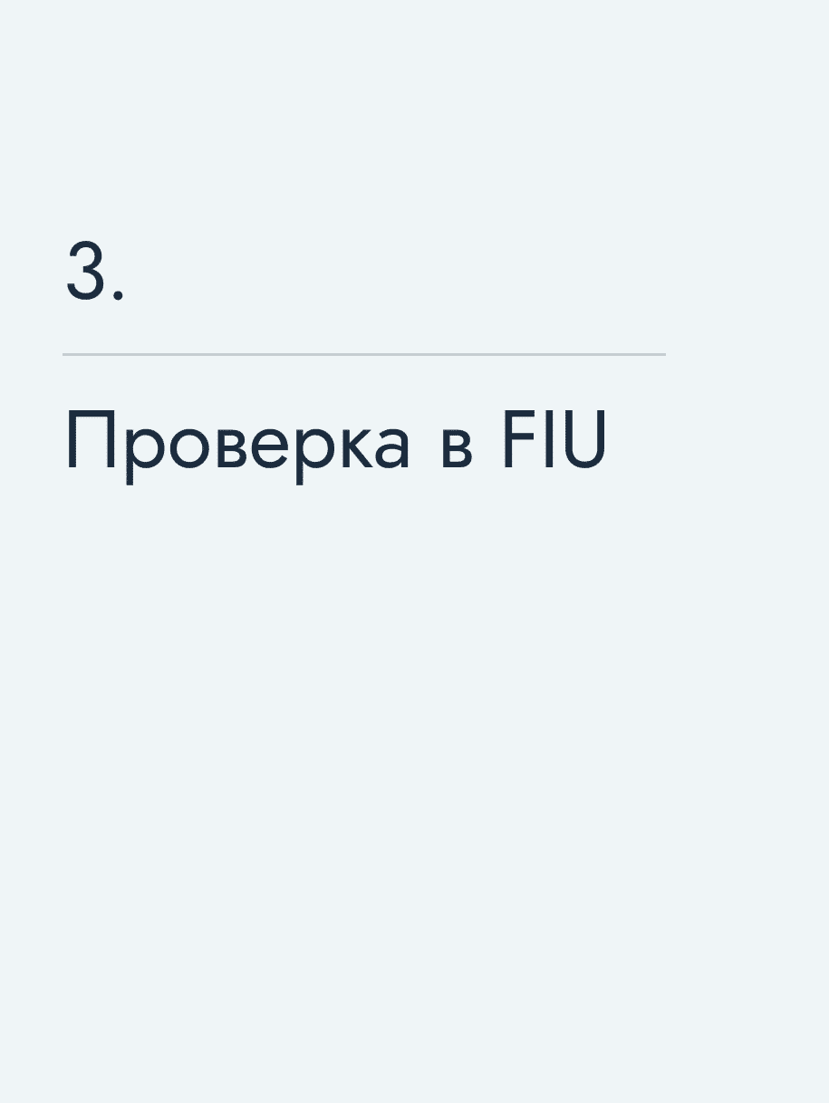 Проверка в FIU