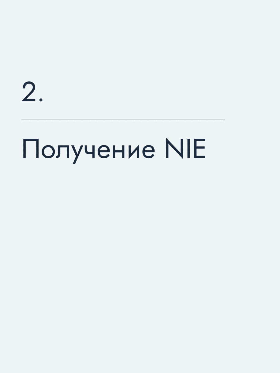 Получение NIE
