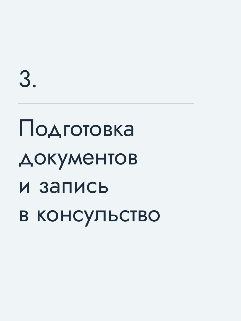 Подготовка документов и запись в консульство