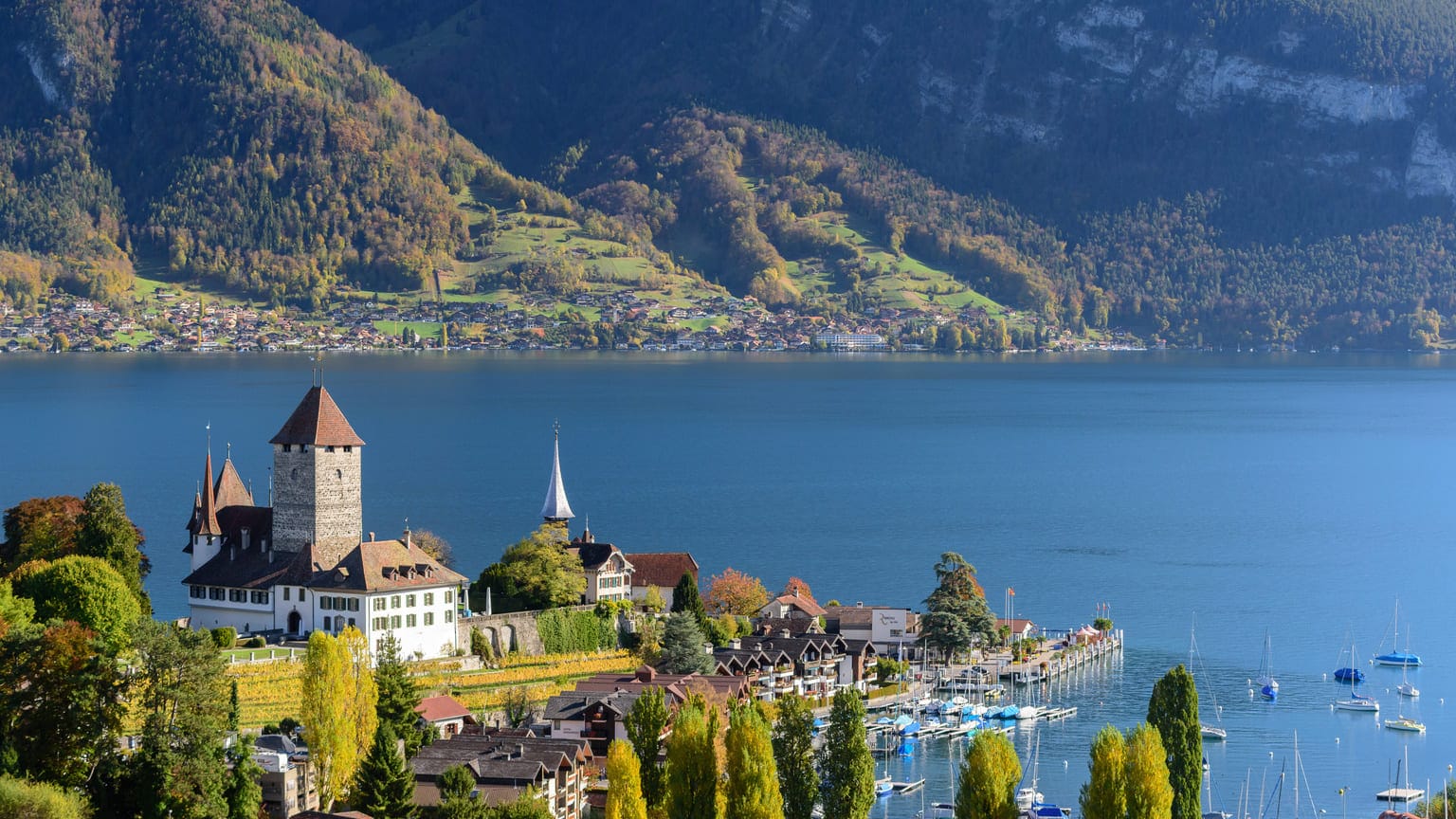 Как&nbsp;получить гражданство Швейцарии: все легальные способы