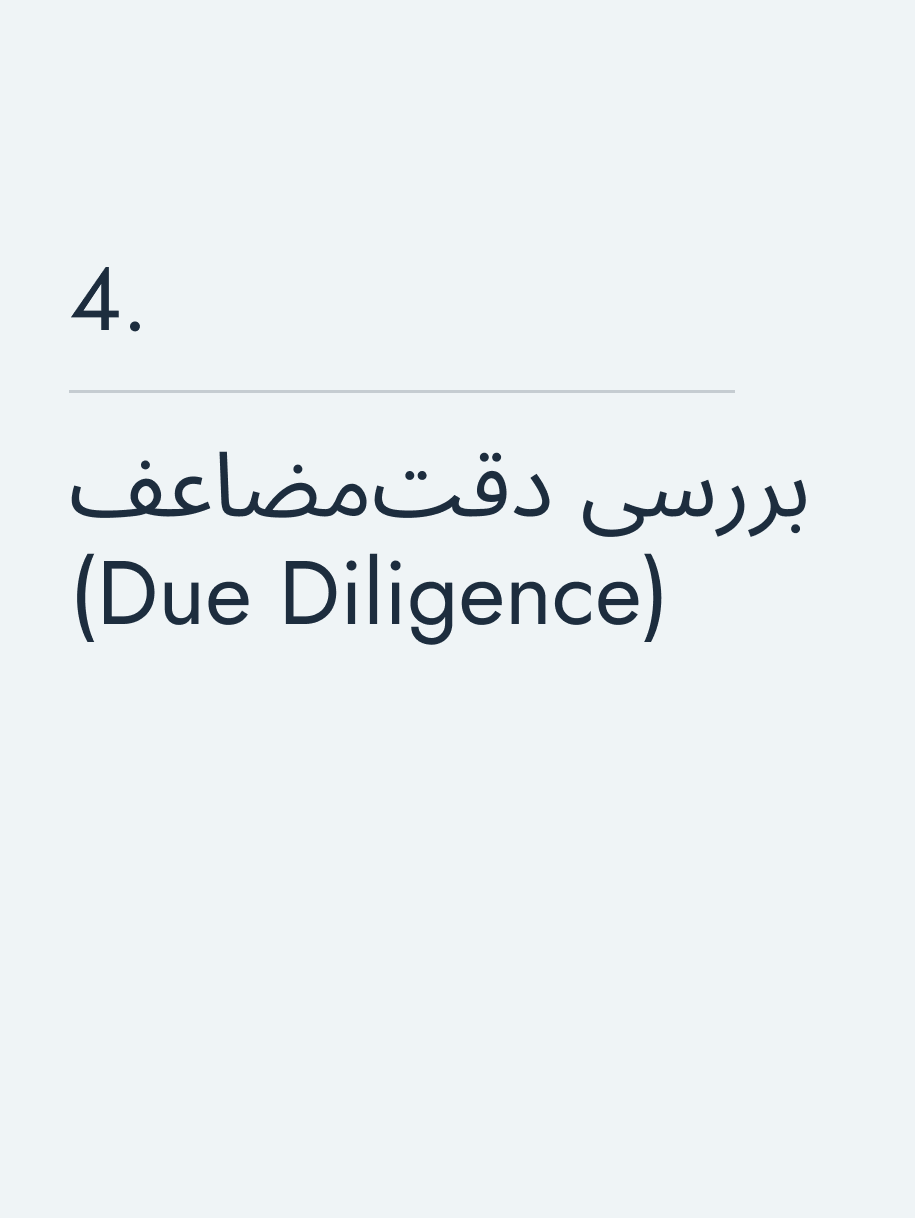 بررسی دقت‌مضاعف (Due Diligence)