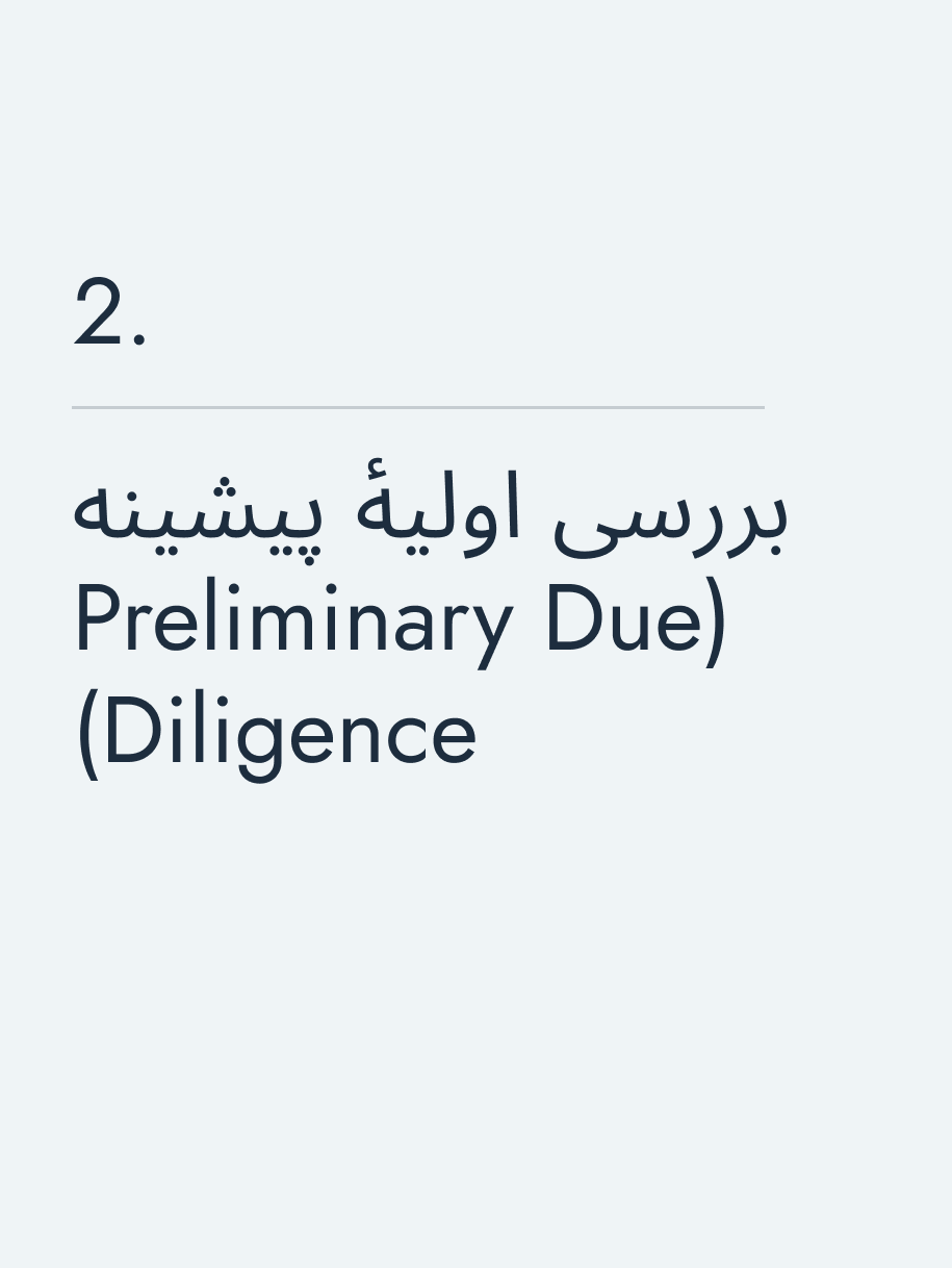 بررسی اولیهٔ پیشینه (Preliminary Due Diligence)