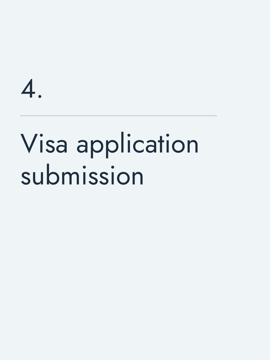 Visa application submission