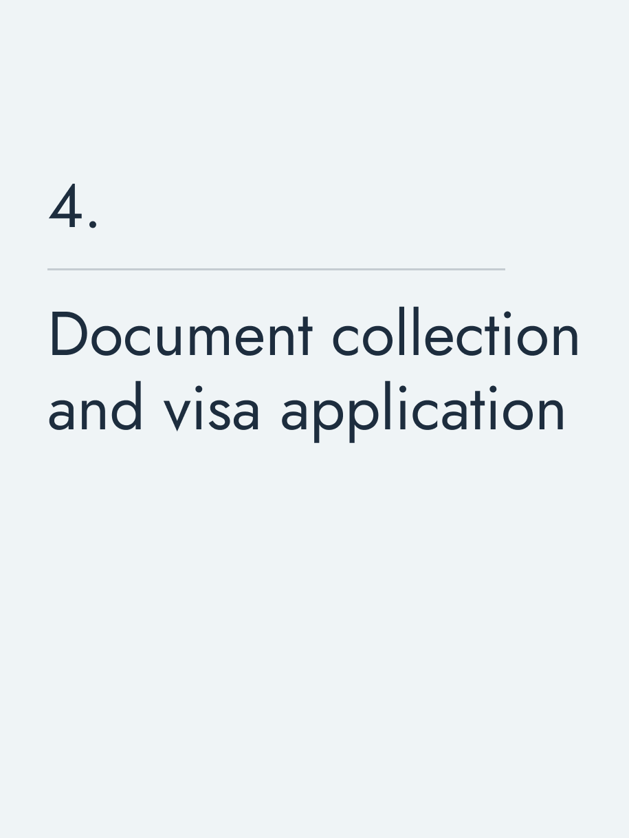 Document collection and visa application