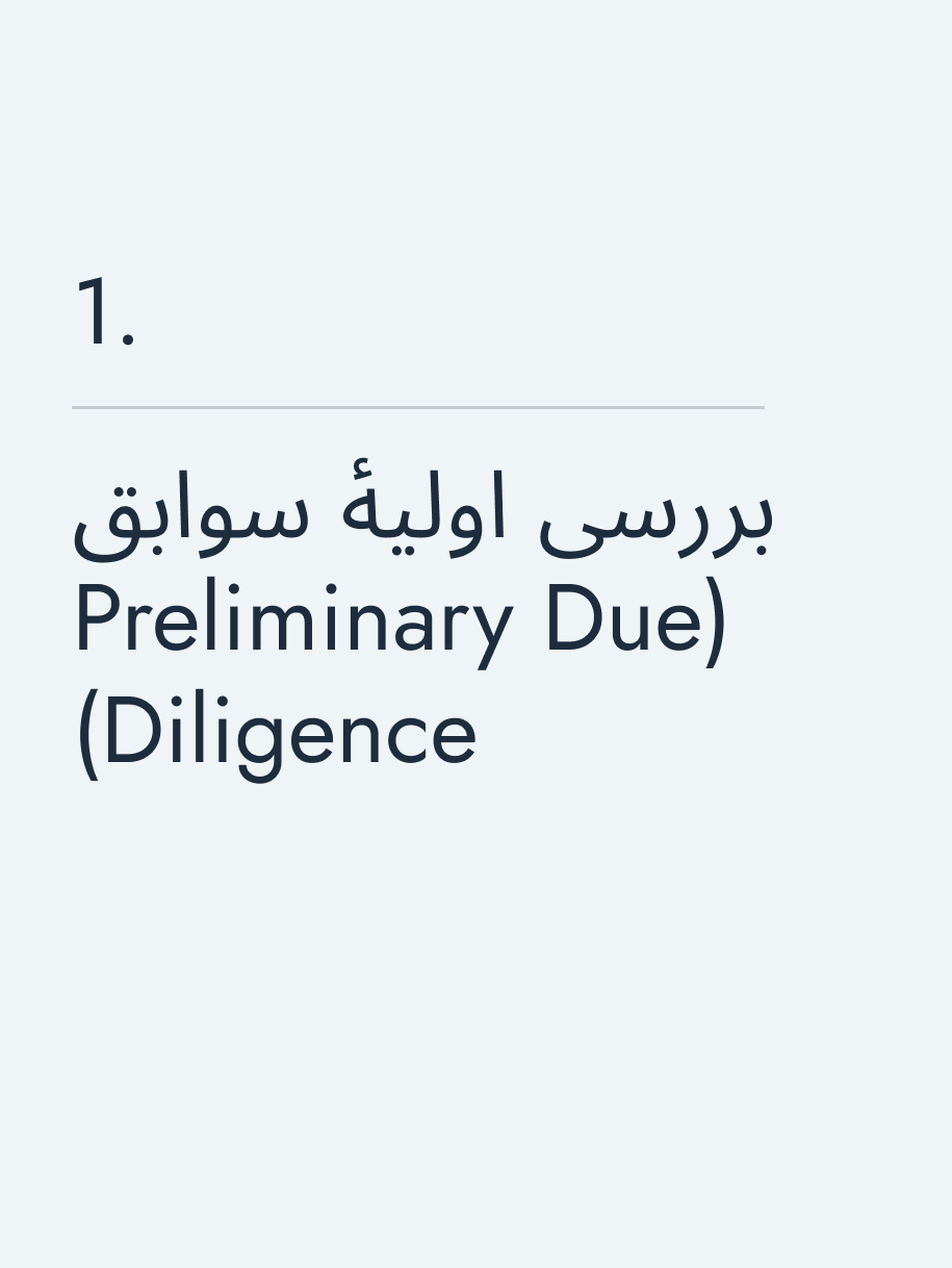بررسی اولیهٔ سوابق (Preliminary Due Diligence)