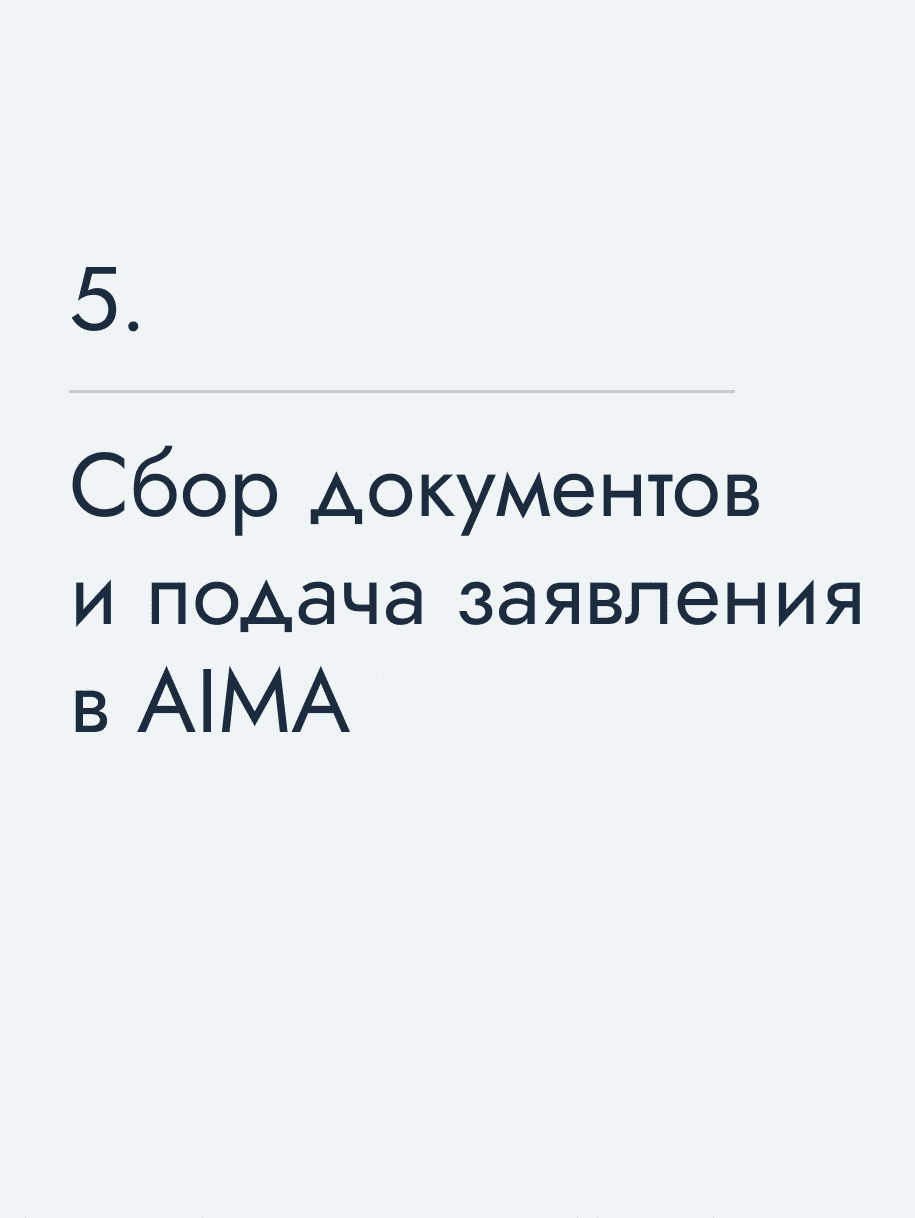 Сбор документов и подача заявления в AIMA