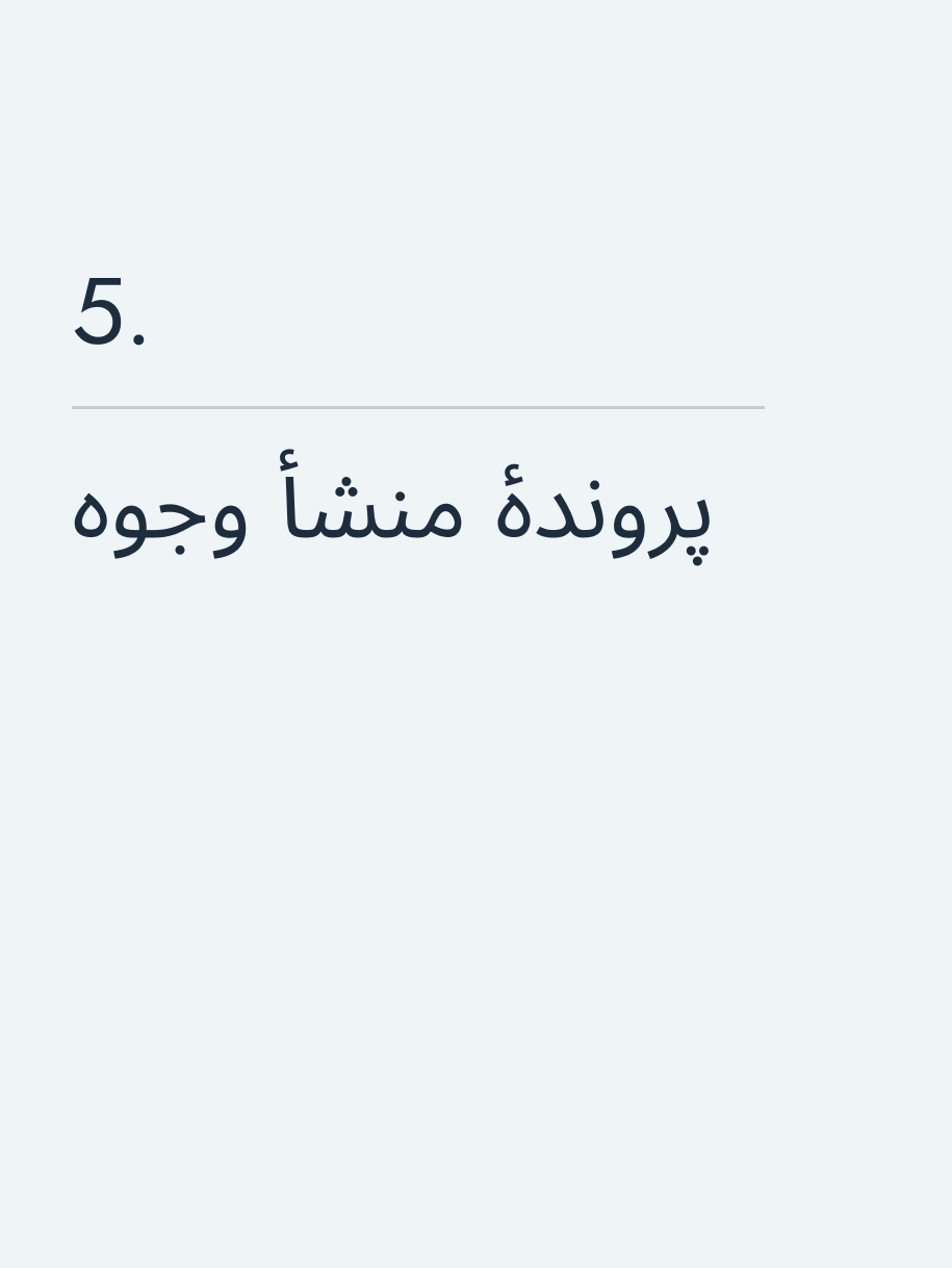 پروندهٔ منشأ وجوه