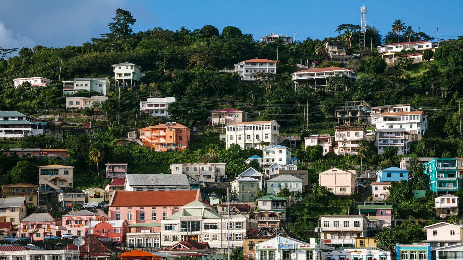 Как&nbsp;купить недвижимость в&nbsp;Гренаде и&nbsp;получить карибский паспорт