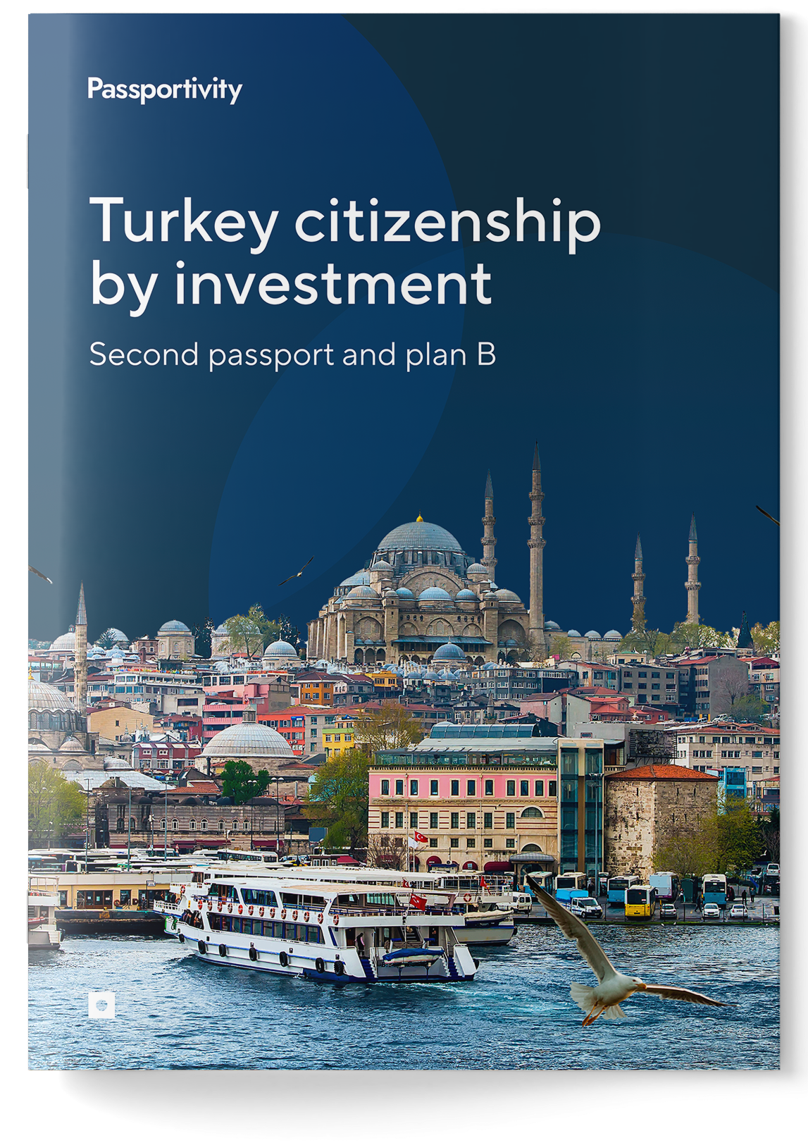 Guide to&nbsp;obtaining Turkey citizenship